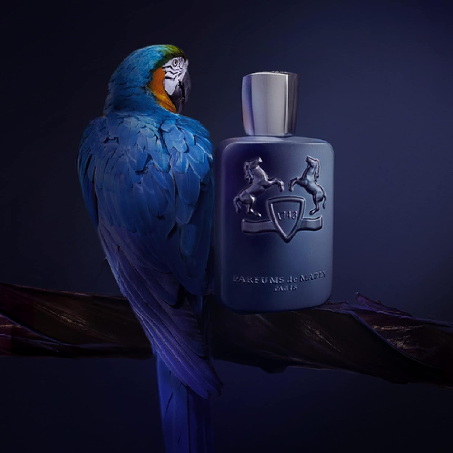 Layton by Parfums de Marly for Men & Women