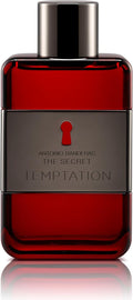 ANTONIO BANDERAS THE SECRET TEMPTATION