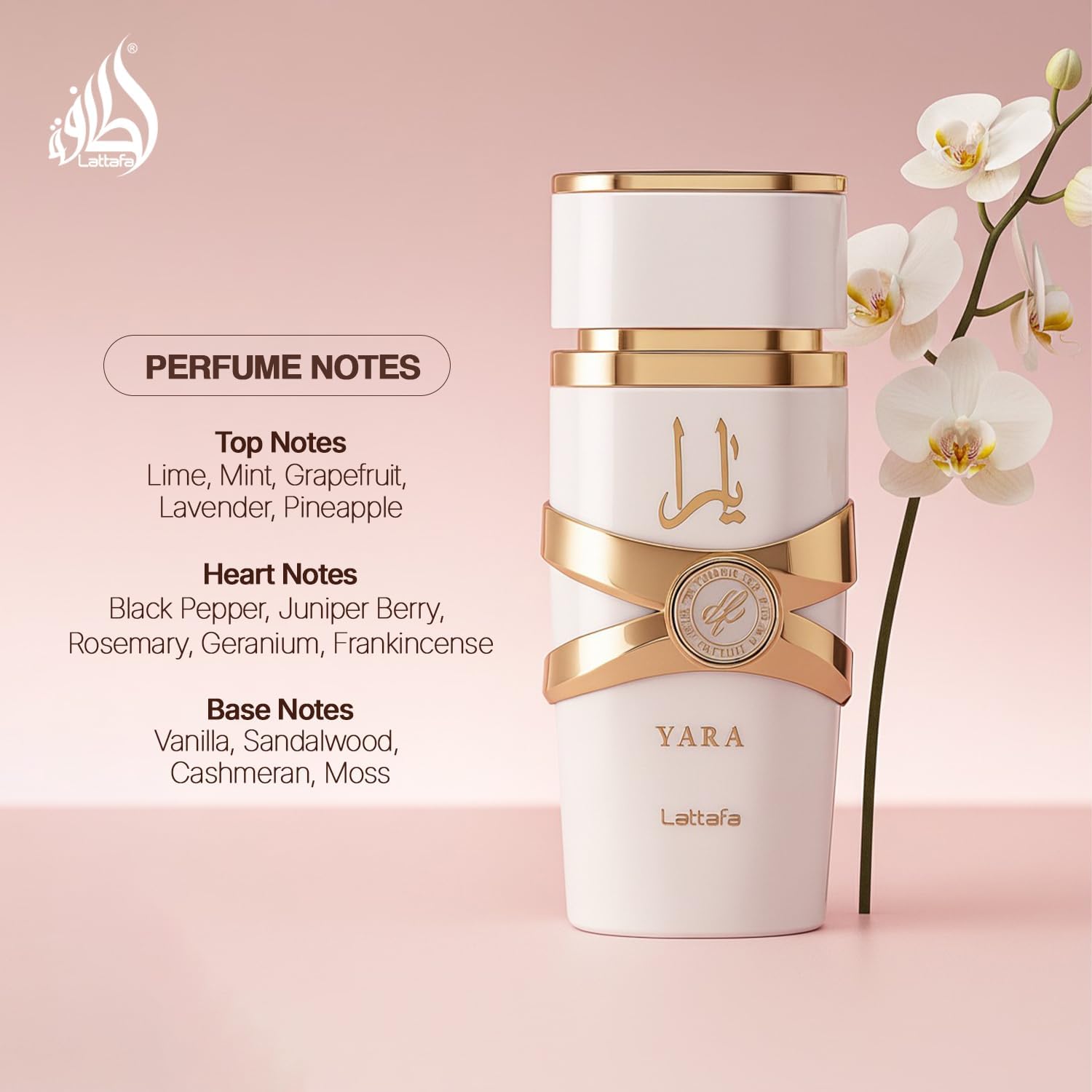 Lattafa Yara Moi For Women