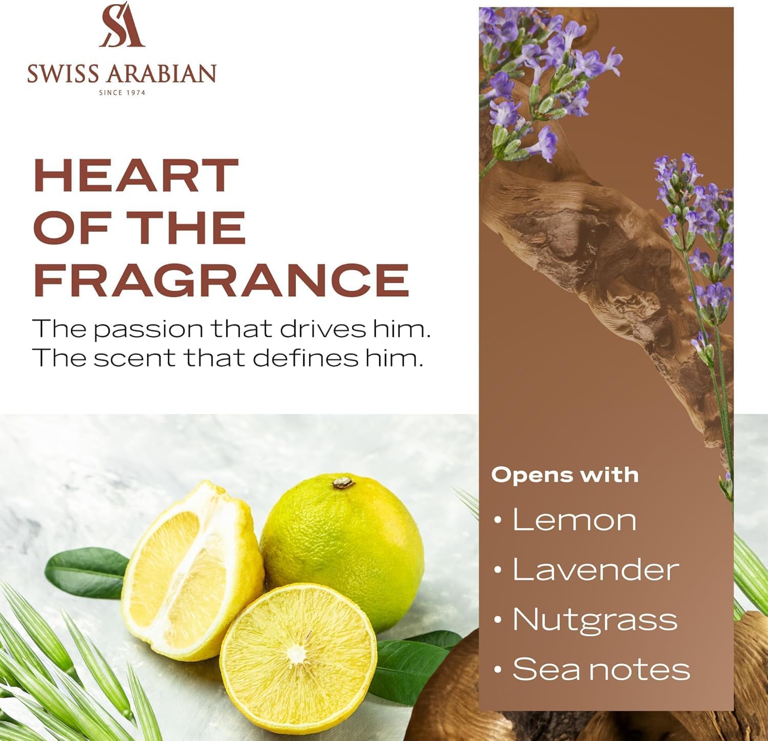 Swiss Arabian Shaghaf For Men